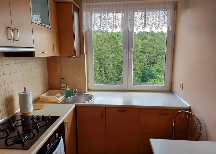 酒店 Apartament Brodwino 索波特