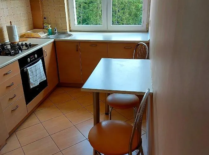 酒店 Apartament Brodwino 索波特